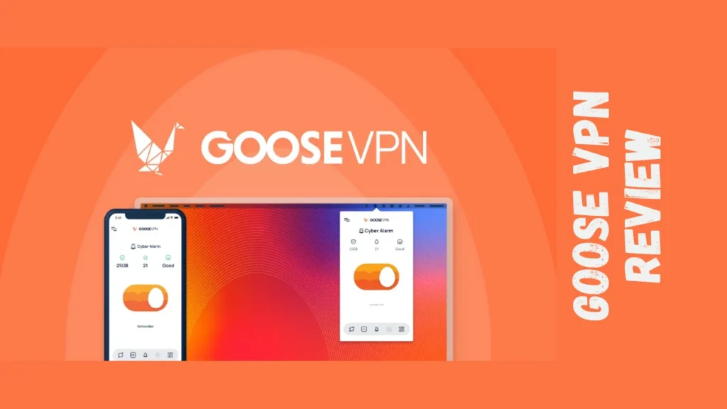 GOOSE VPN Review