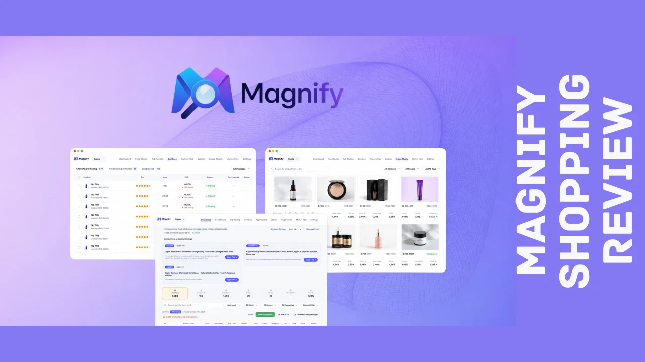 Magnify Shopping Review