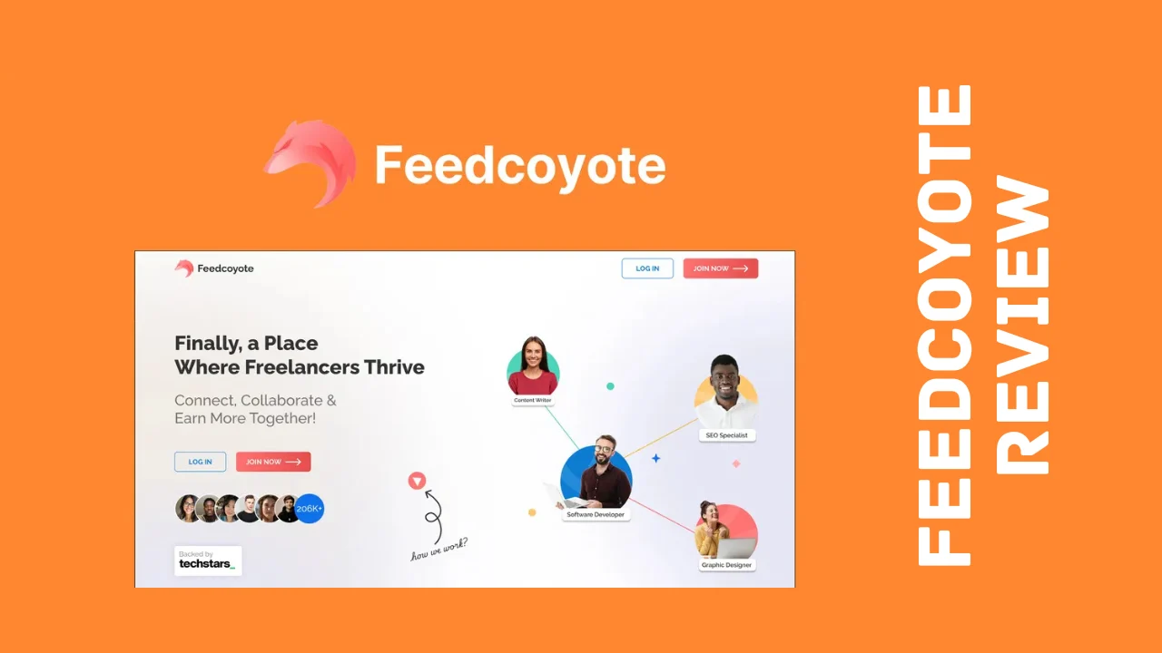 Feedcoyote Review
